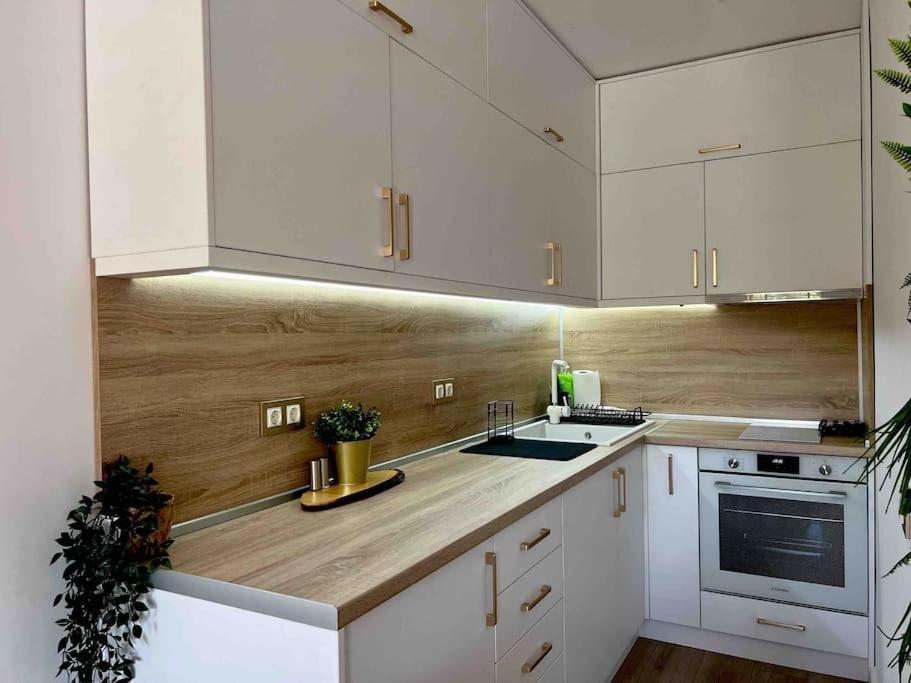 Cosy Appartement Green Life Bansko Eksteriør billede