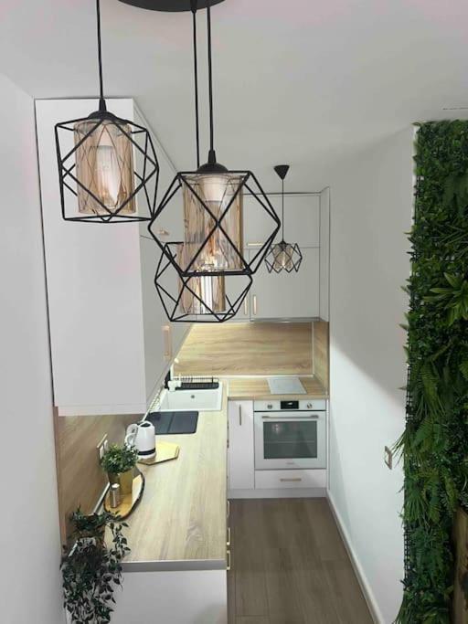 Cosy Appartement Green Life Bansko Eksteriør billede